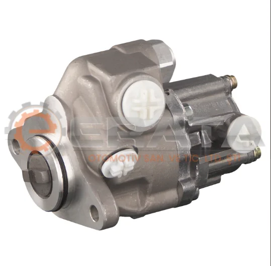 Tandem Pump for power steering and fuel system